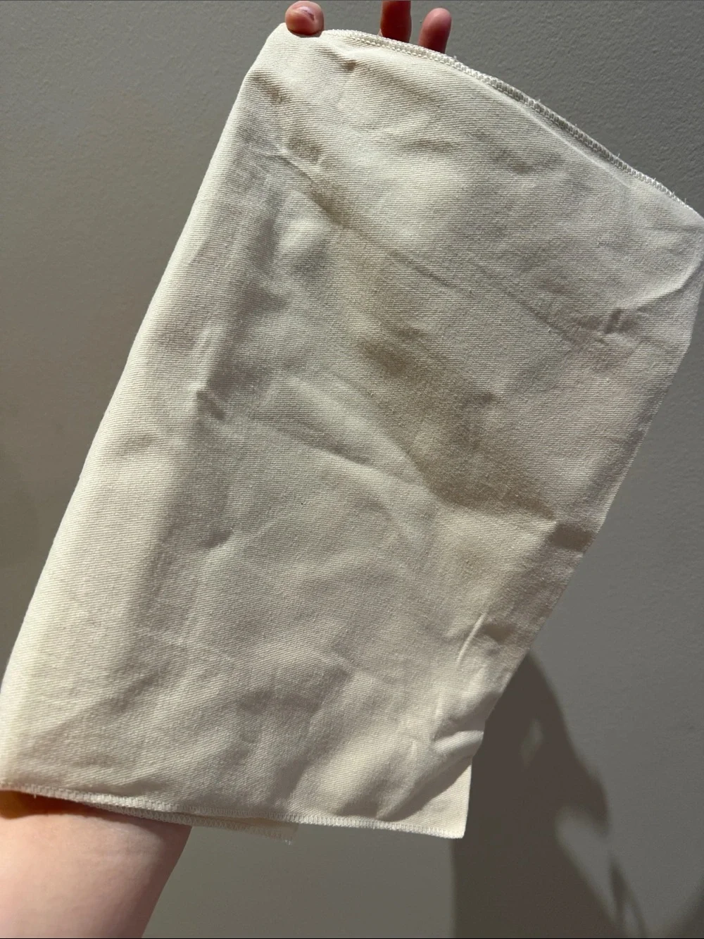 Louis Vuitton Dust Bag
